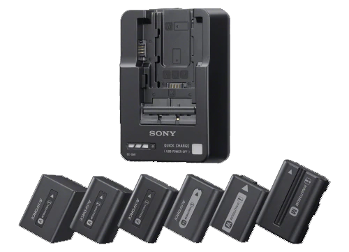 Sony BC-QM1 InfoLithium Battery Charger