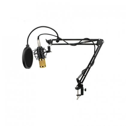 کیت میکروفن مخصوص  تولید محتوا مدل BM800
