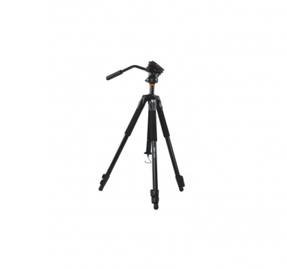 Vanguard ABEO 243AV