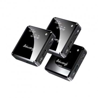میکروفون بی سیم دو کاناله Baiwangli SX39